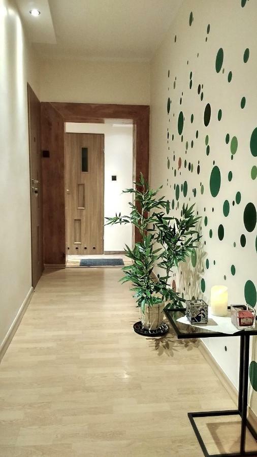 Pod Jarzebina Apartment Torun Exterior photo